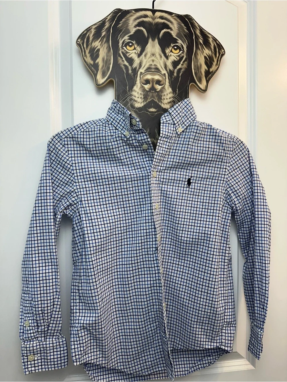 Ralph Lauren White and Blue Button-Down Dress Shirt